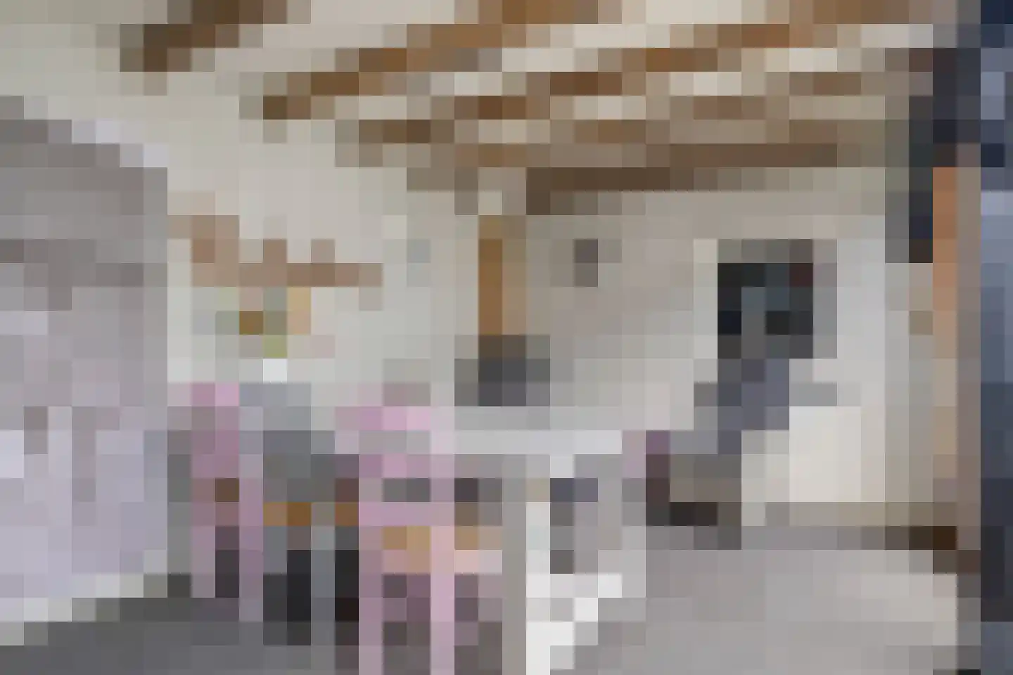 Anton Derkinderenstraat 15 Heeswijk-Dinther thumbnail 39