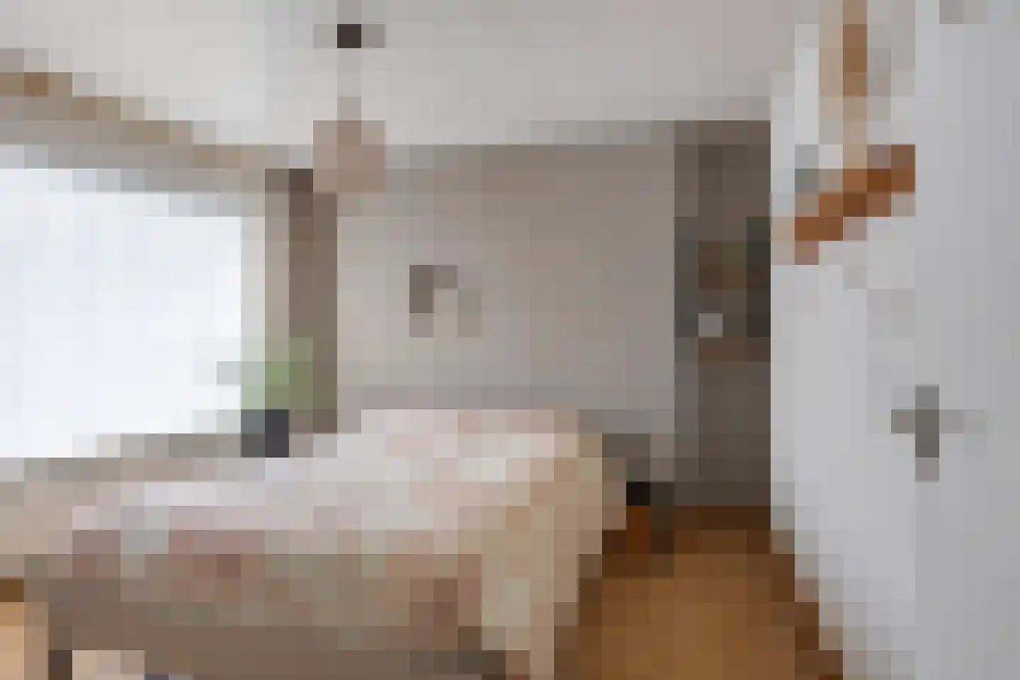 Anton Derkinderenstraat 15 Heeswijk-Dinther thumbnail 5