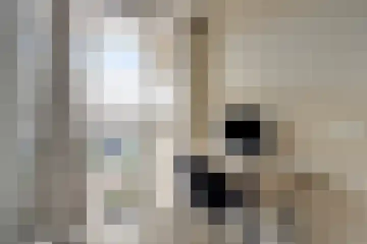 Anton Geesinkstraat 12 Oldenzaal thumbnail 22