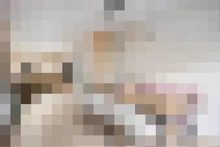 Anton Geesinkstraat 12 Oldenzaal thumbnail 8