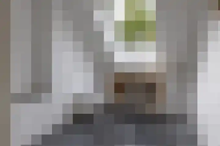 Anton Geesinkstraat 13 Weesp thumbnail 36