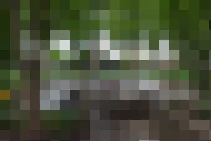 Anton Geesinkstraat 13 Weesp thumbnail 41