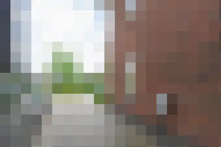 Anton Geesinkstraat 13 Weesp thumbnail 44