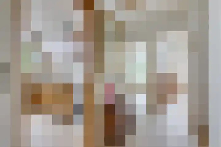Anton Geesinkstraat 14 Utrecht thumbnail 13