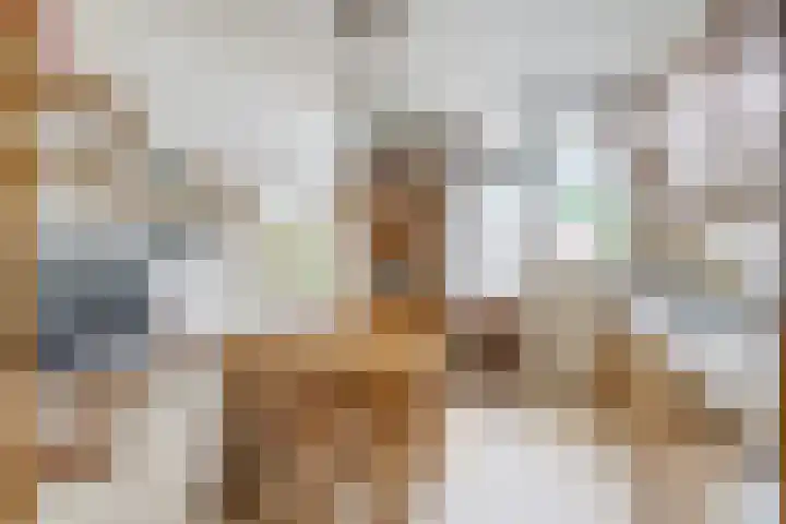 Anton Geesinkstraat 14 Utrecht thumbnail 14
