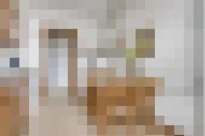 Anton Geesinkstraat 14 Utrecht thumbnail 16