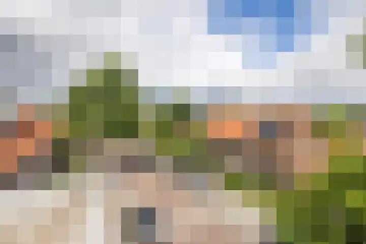 Anton Geesinkstraat 14 Utrecht thumbnail 23