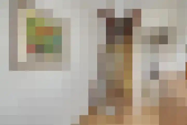 Anton Geesinkstraat 14 Utrecht thumbnail 30
