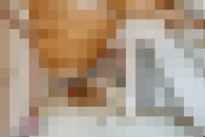 Anton Geesinkstraat 14 Utrecht thumbnail 31