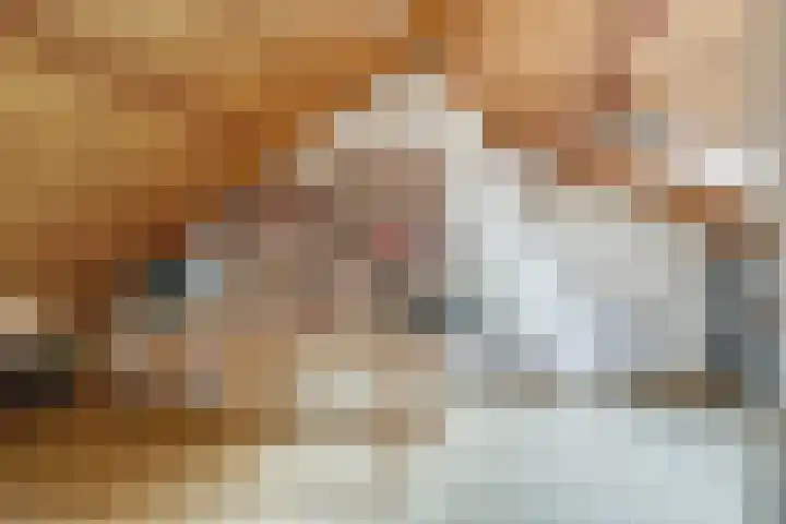 Anton Geesinkstraat 14 Utrecht thumbnail 33
