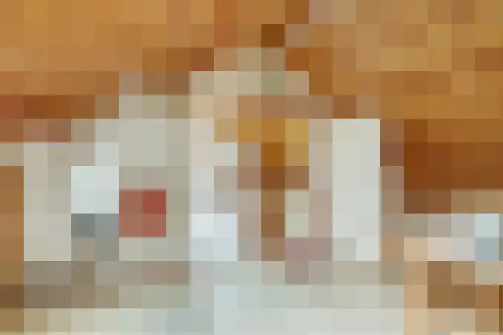 Anton Geesinkstraat 14 Utrecht thumbnail 35