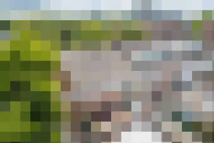 Anton Geesinkstraat 14 Utrecht thumbnail 39