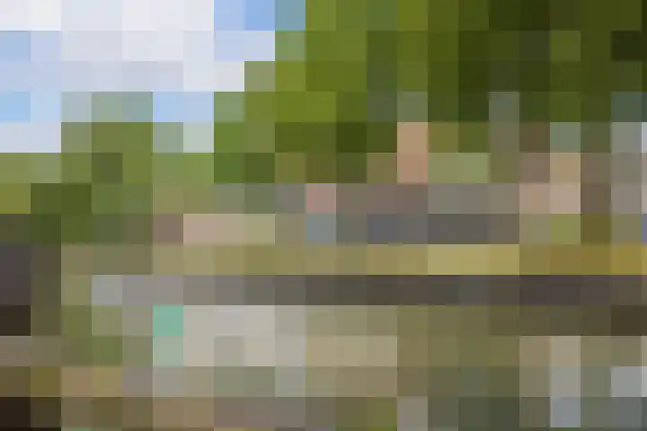 Anton Geesinkstraat 14 Utrecht thumbnail 43