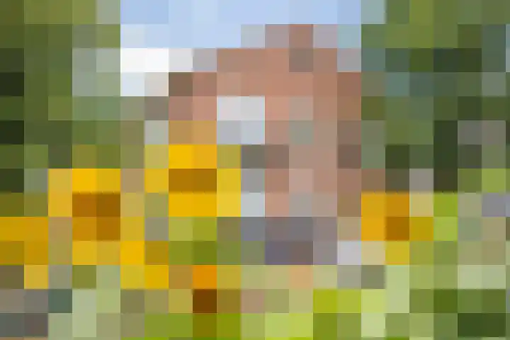Anton Geesinkstraat 14 Utrecht thumbnail 46