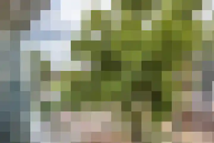 Anton Geesinkstraat 14 Utrecht thumbnail 7