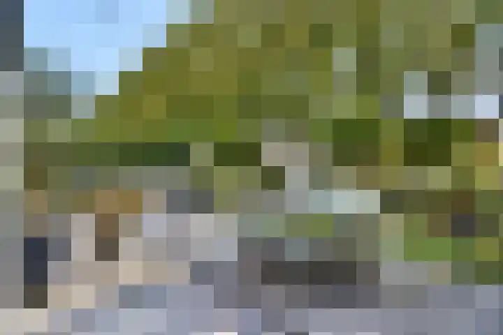 Anton Geesinkstraat 33 Weesp thumbnail 15