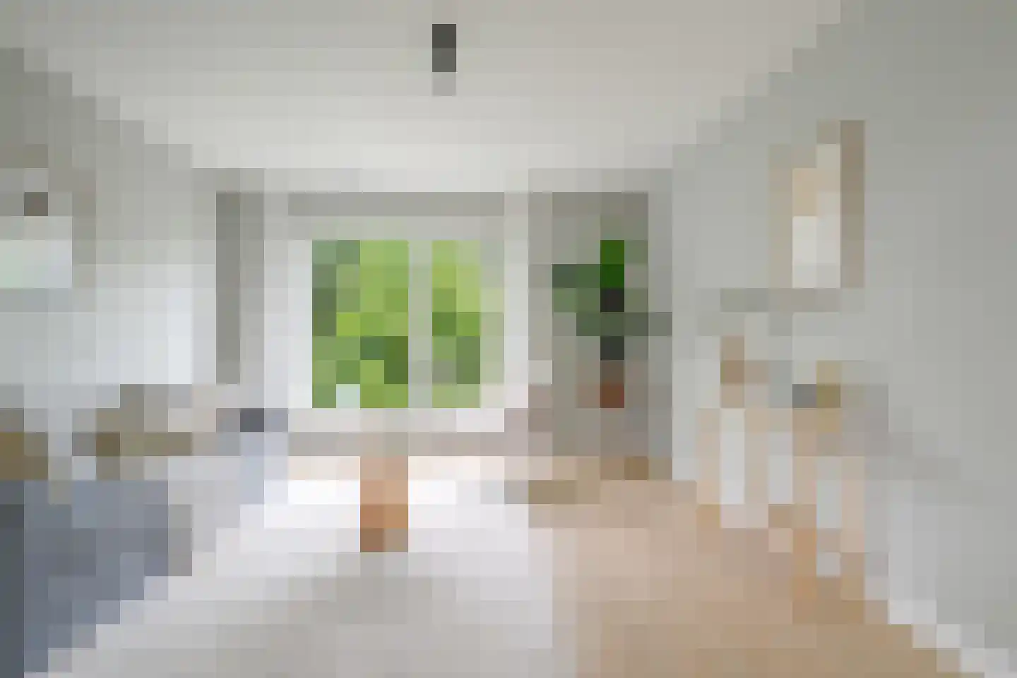 Anton Geesinkstraat 4 D Utrecht
