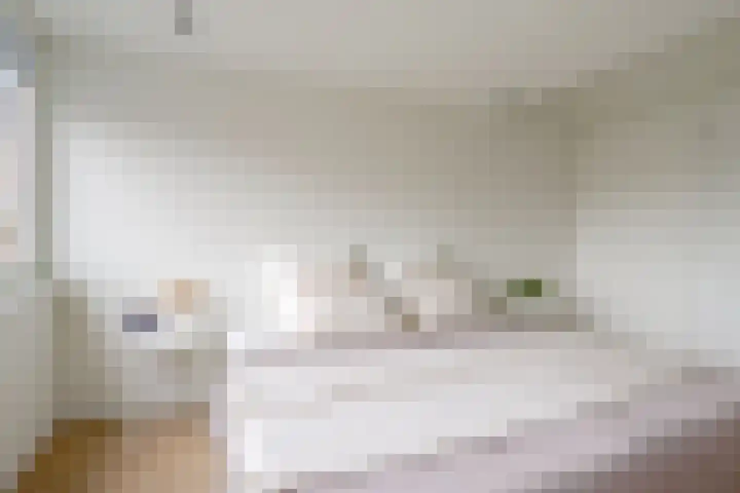 Anton Geesinkstraat 4 D Utrecht thumbnail 27