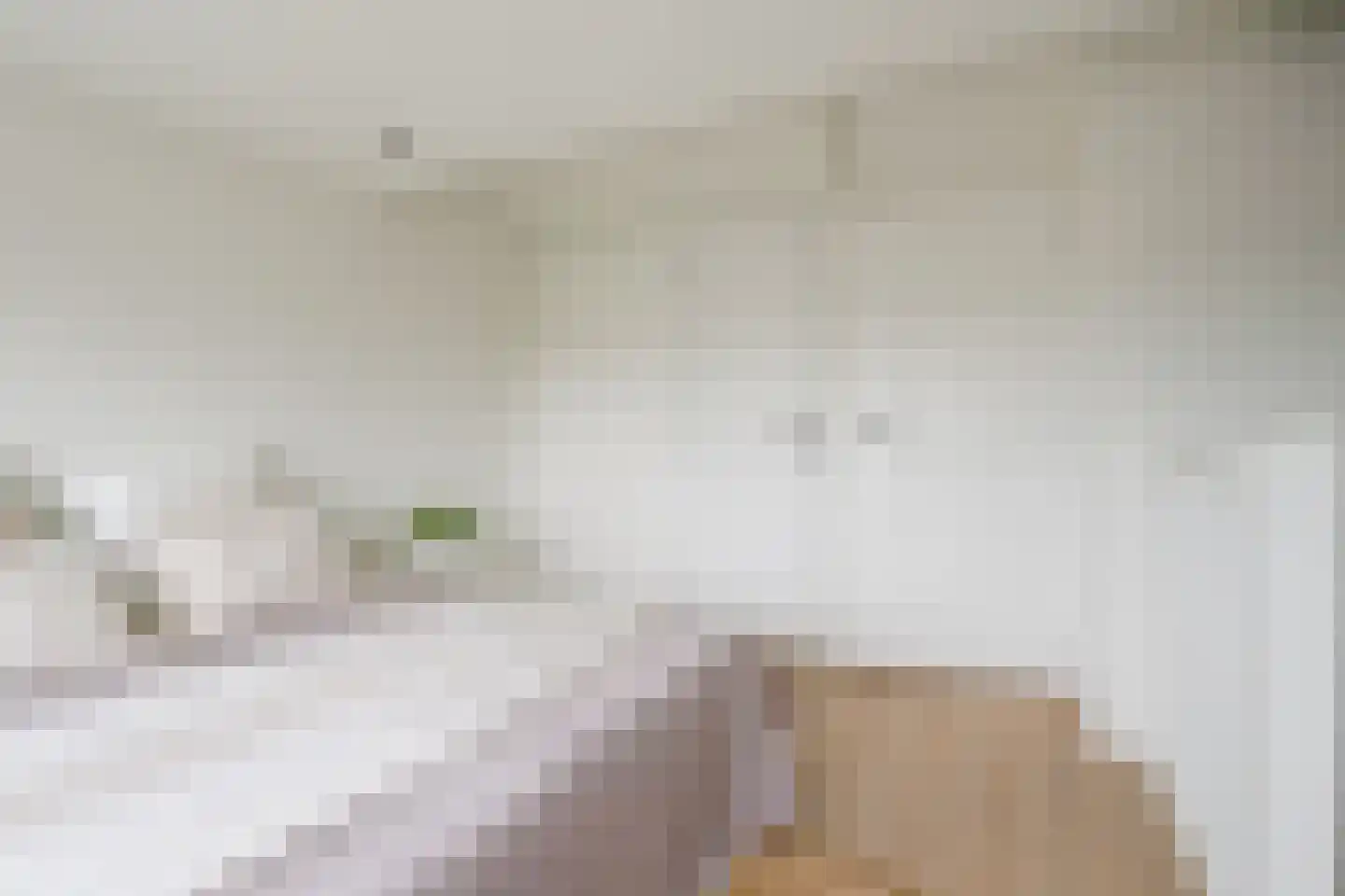 Anton Geesinkstraat 4 D Utrecht thumbnail 28