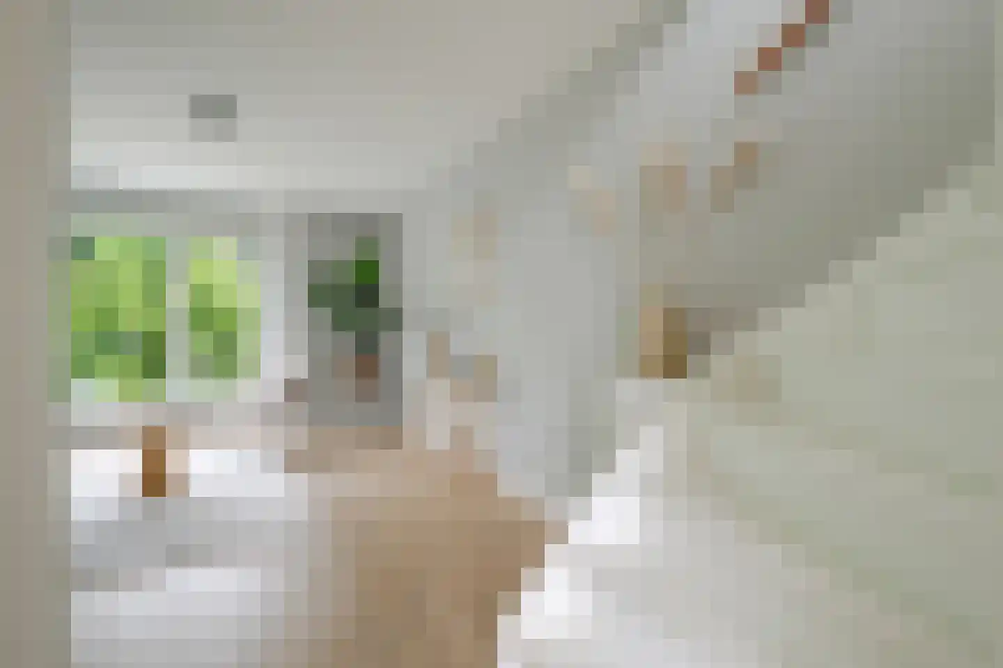 Anton Geesinkstraat 4 D Utrecht thumbnail 8