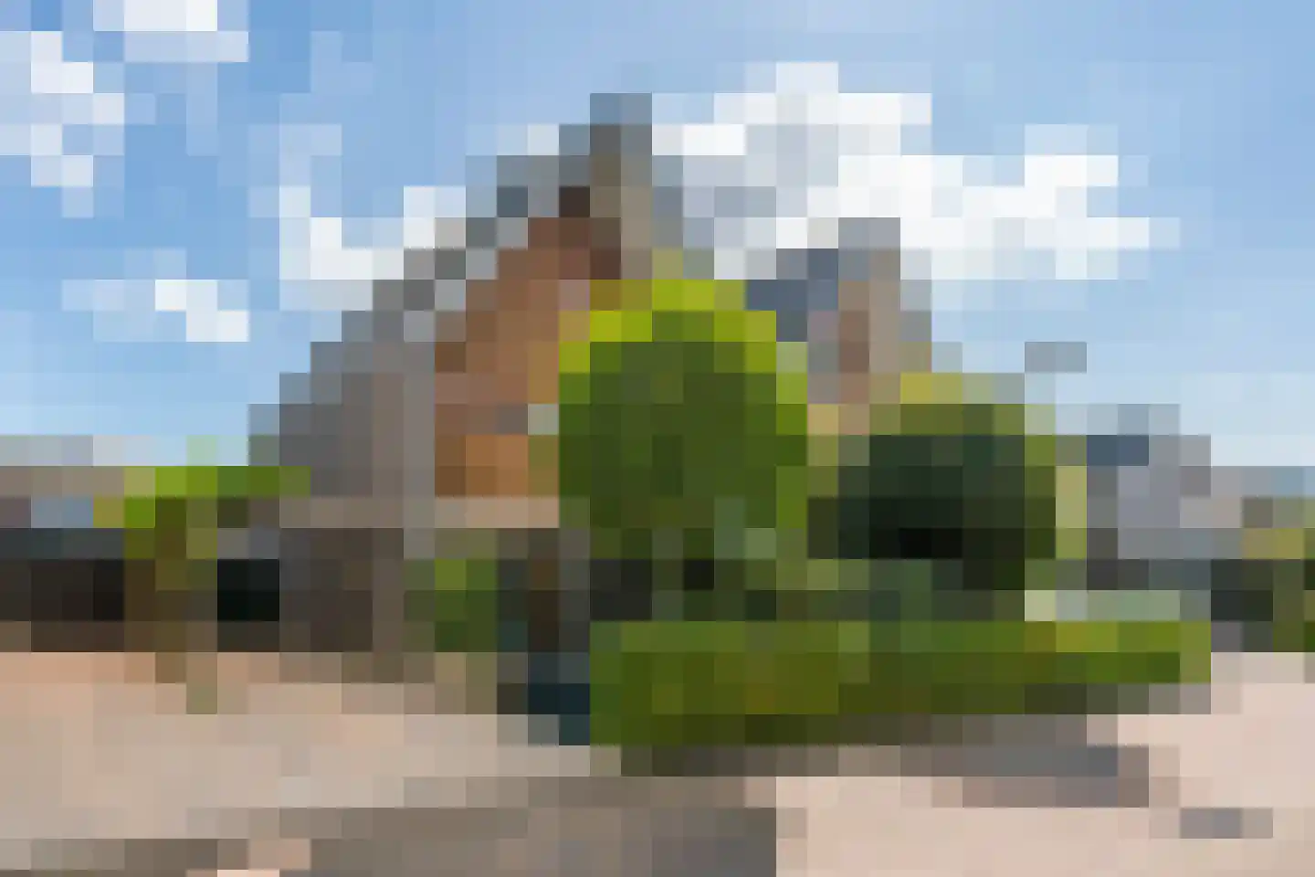 Anton Geesinkstraat 52 Hoofddorp