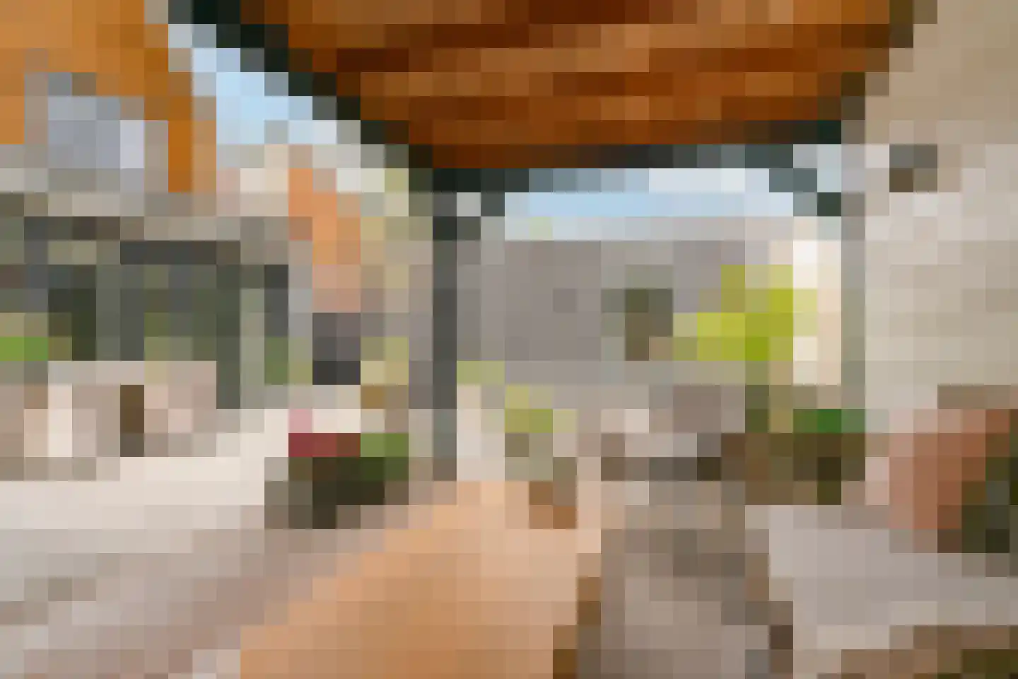 Anton Geesinkstraat 52 Hoofddorp thumbnail 41