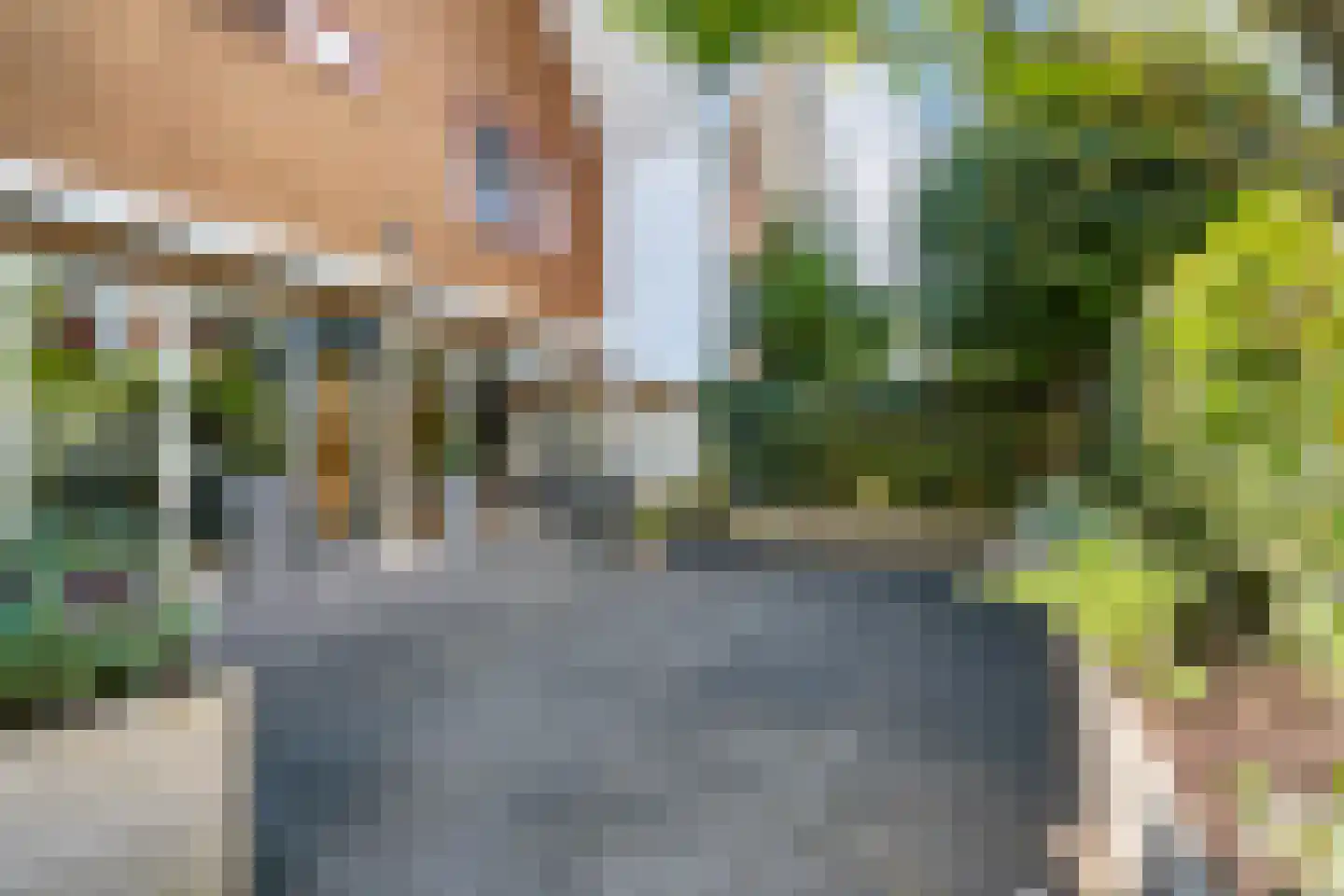 Anton Geesinkstraat 52 Hoofddorp thumbnail 47