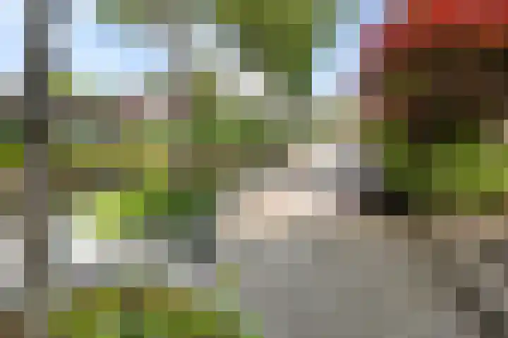 Anton Geesinkstraat 53 Weesp thumbnail 26