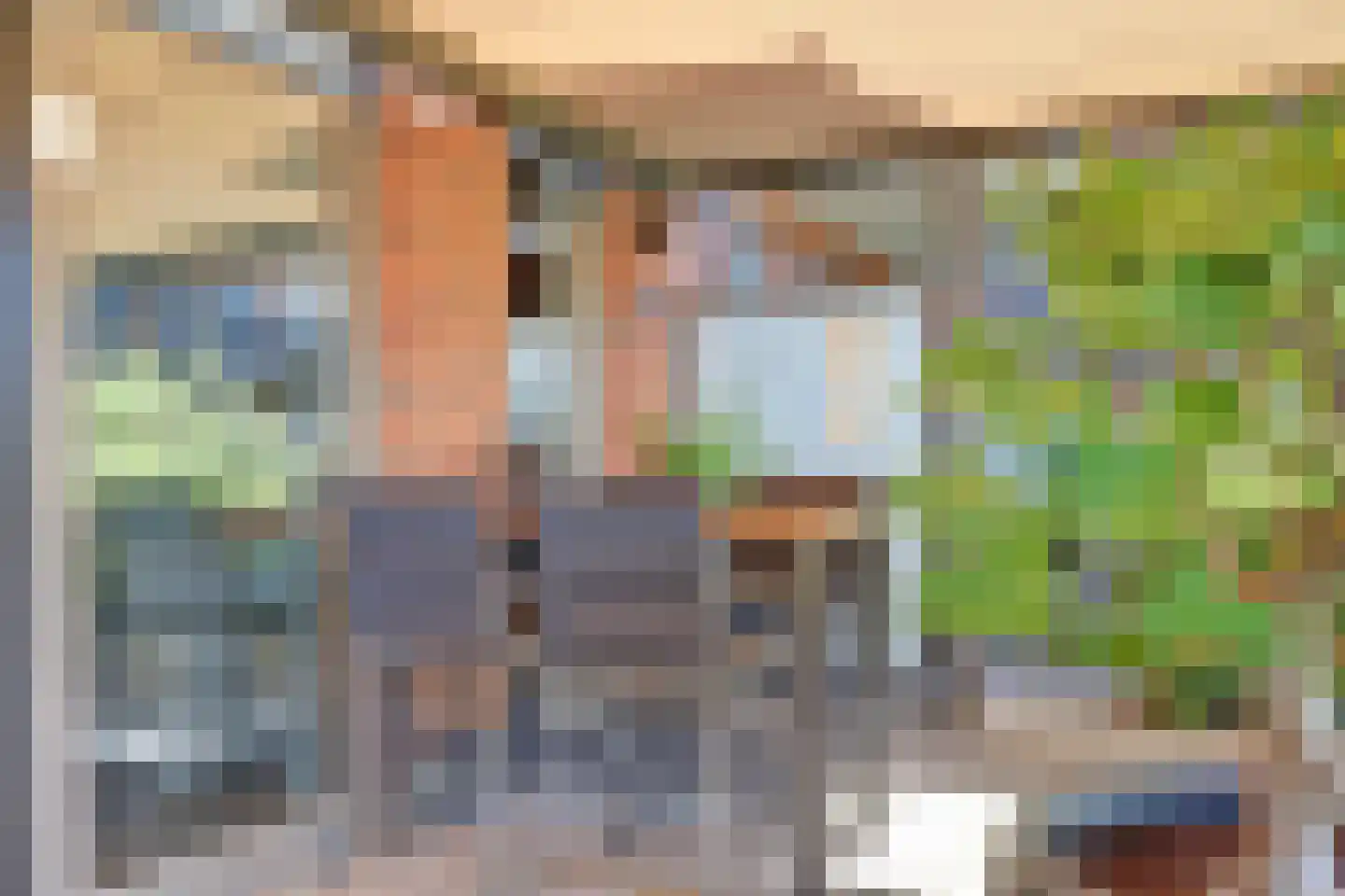 Anton Geesinkstraat 90 Hellevoetsluis thumbnail 27
