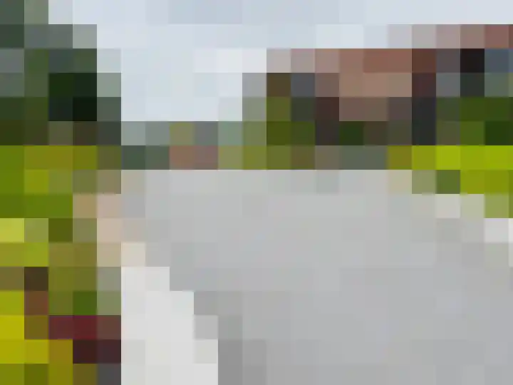 Anton Geesinkstraat 92 Hellevoetsluis thumbnail 4