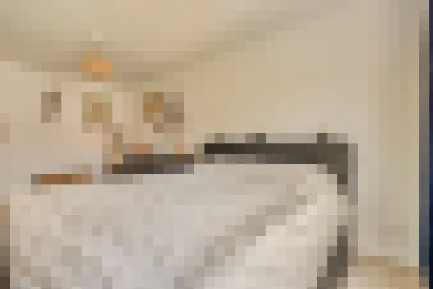 Anton Hölzelsingel 3 Amsterdam thumbnail 33