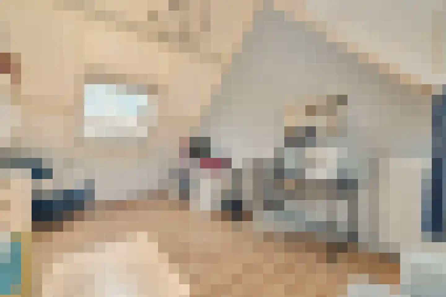 Anton Hölzelsingel 3 Amsterdam thumbnail 43