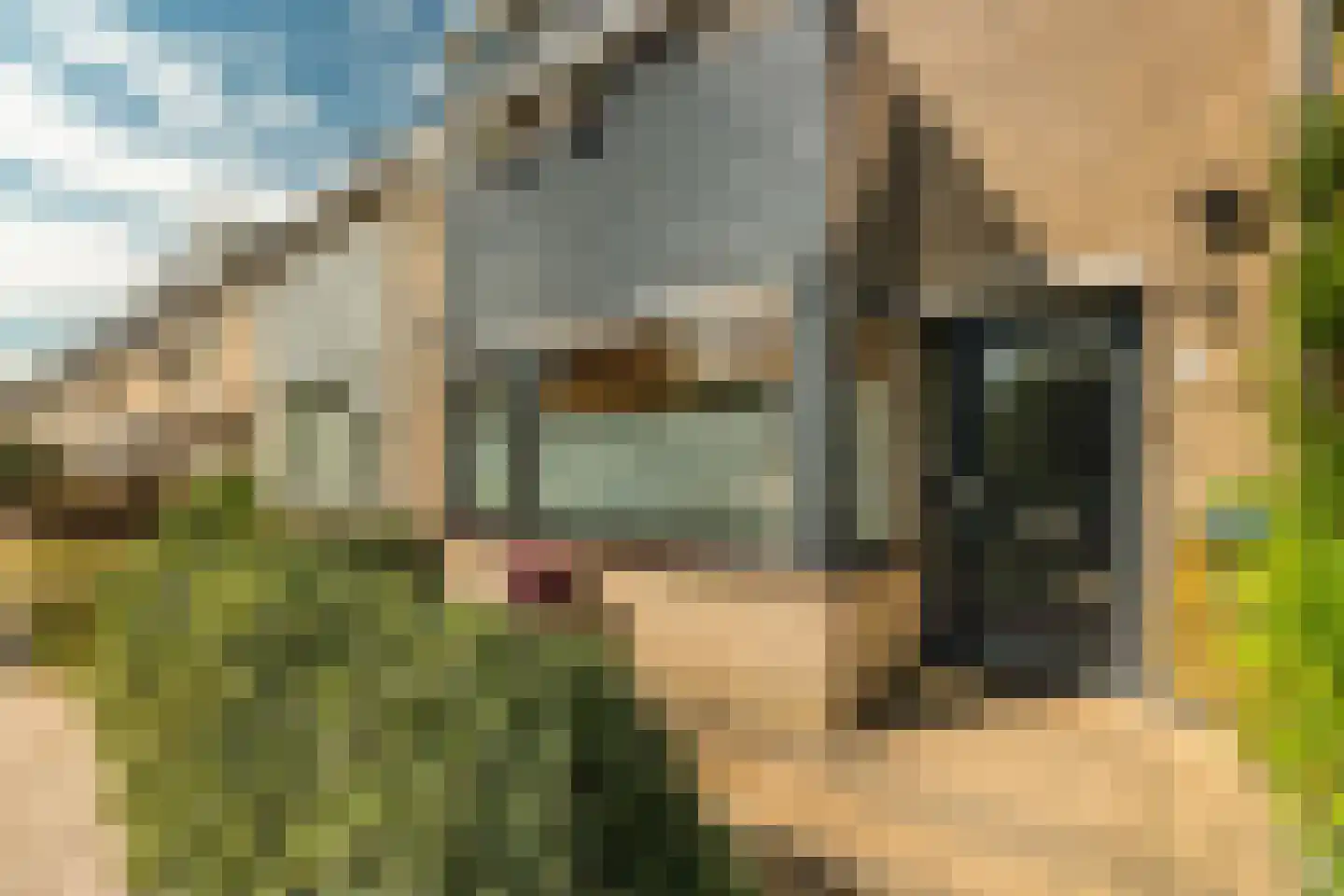 Anton Hölzelsingel 3 Amsterdam thumbnail 5