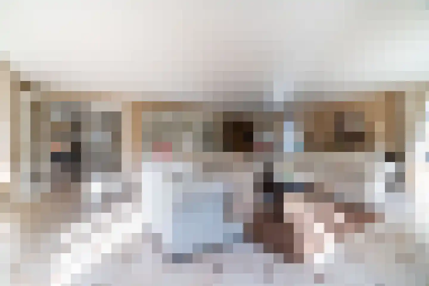 Anton Koolhaaspad 1 Voorschoten thumbnail 13
