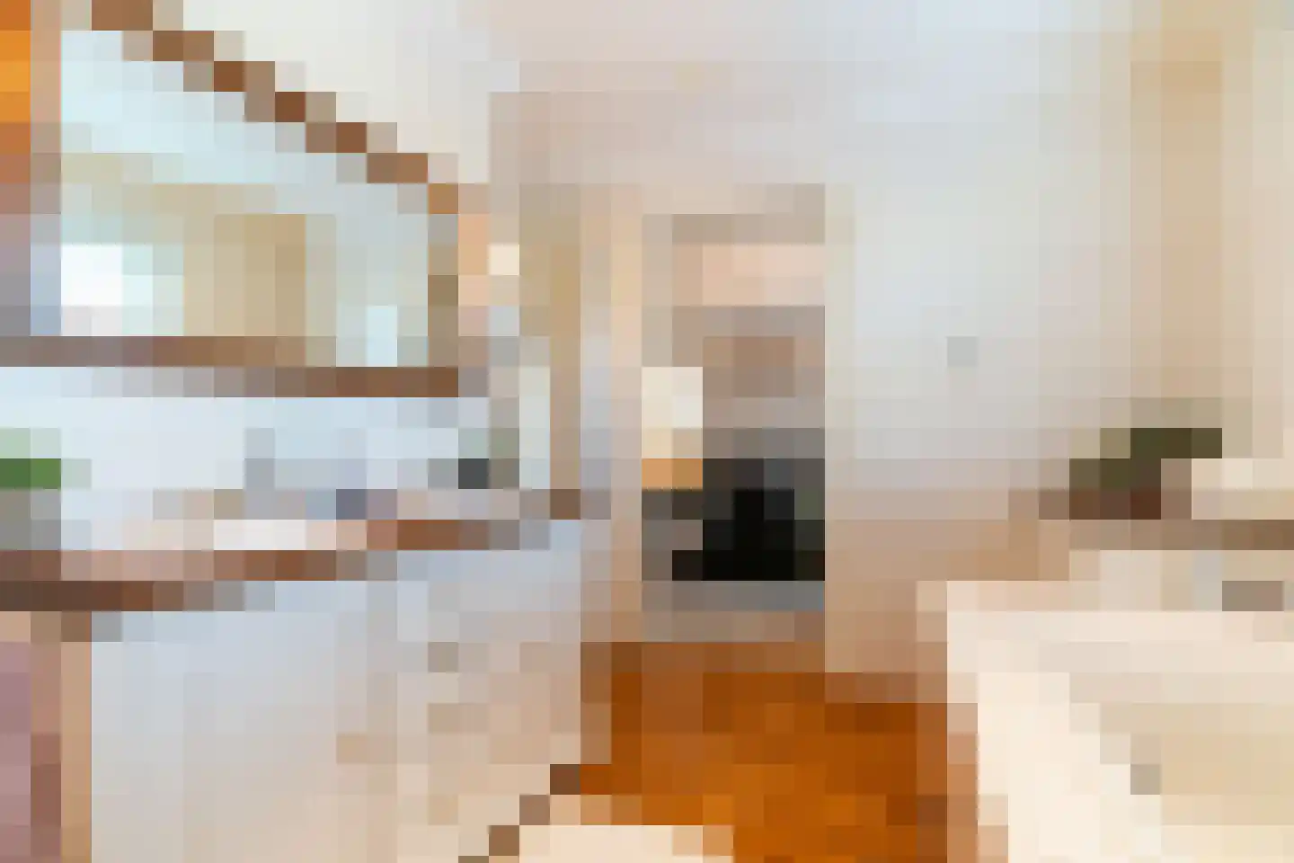 Anton Koolhaaspad 1 Voorschoten thumbnail 24