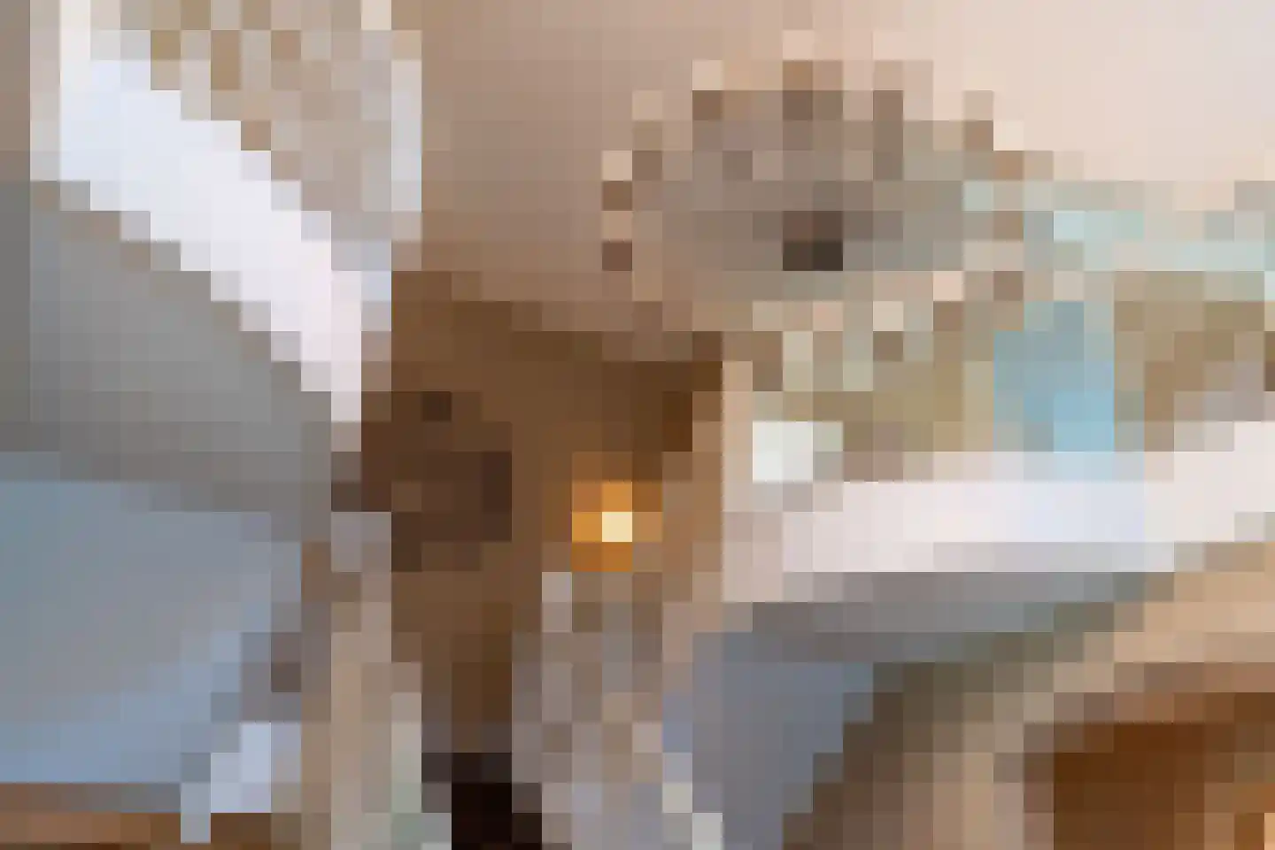 Anton Koolhaaspad 1 Voorschoten thumbnail 25