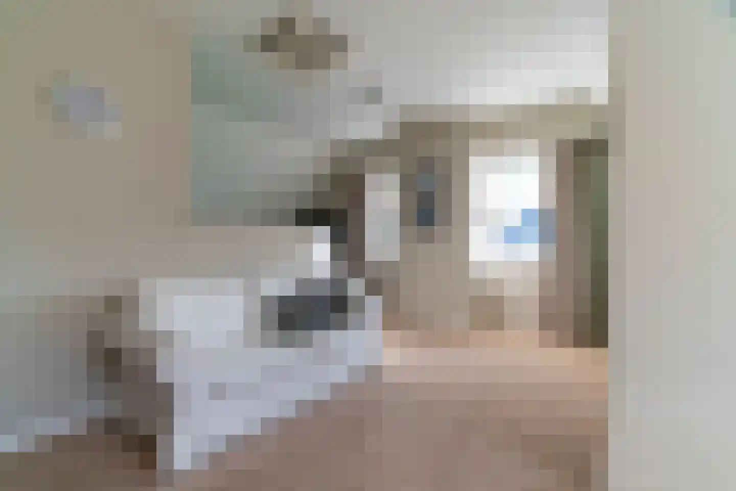 Anton Koolhaaspad 1 Voorschoten thumbnail 27