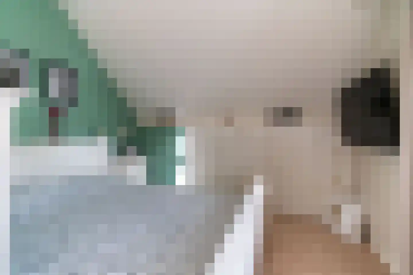 Anton Koolhaaspad 1 Voorschoten thumbnail 28