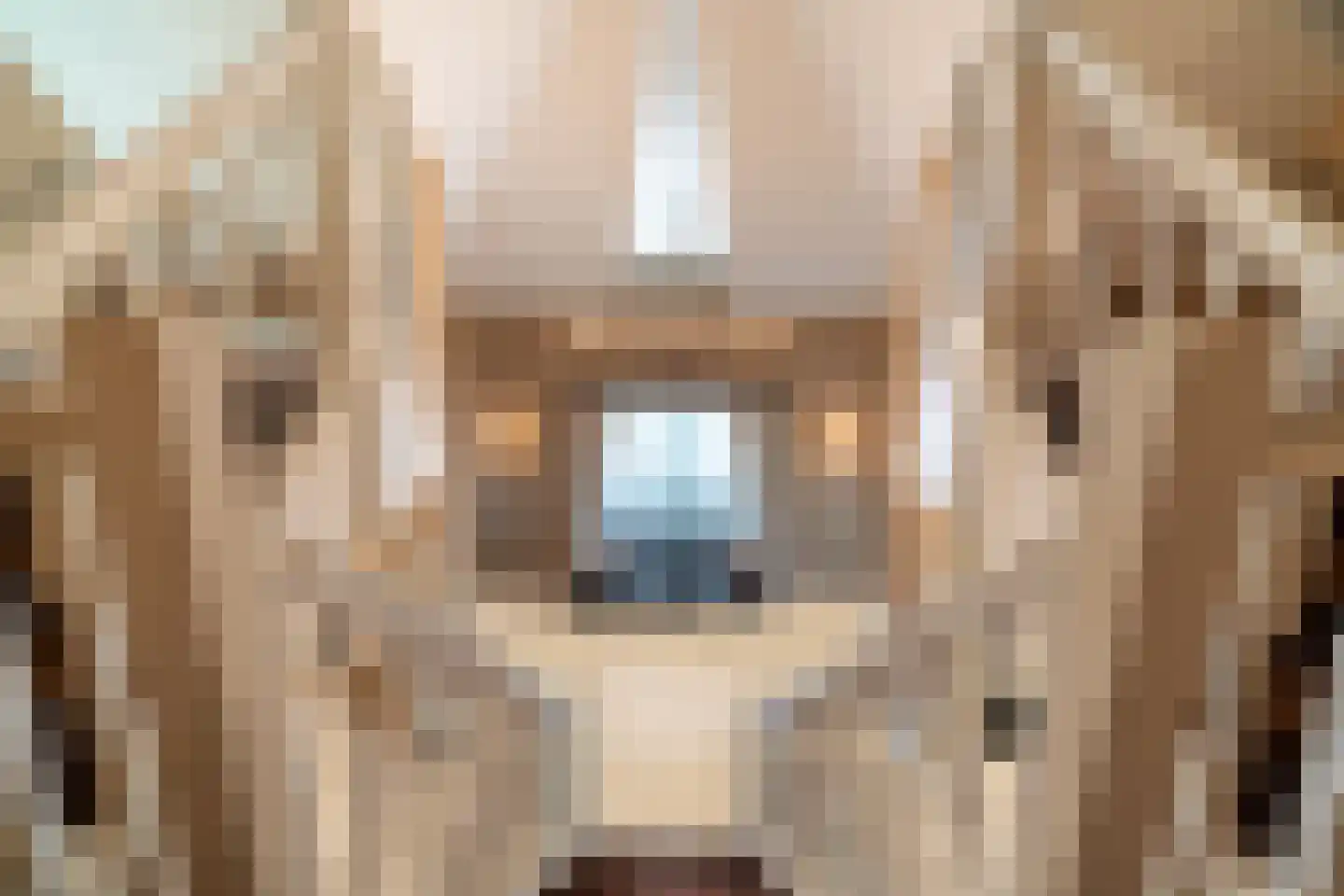 Anton Koolhaaspad 1 Voorschoten thumbnail 38