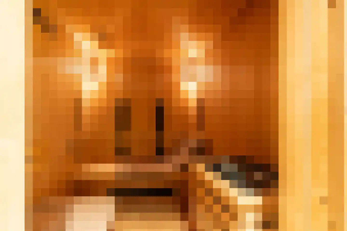 Anton Koolhaaspad 1 Voorschoten thumbnail 43