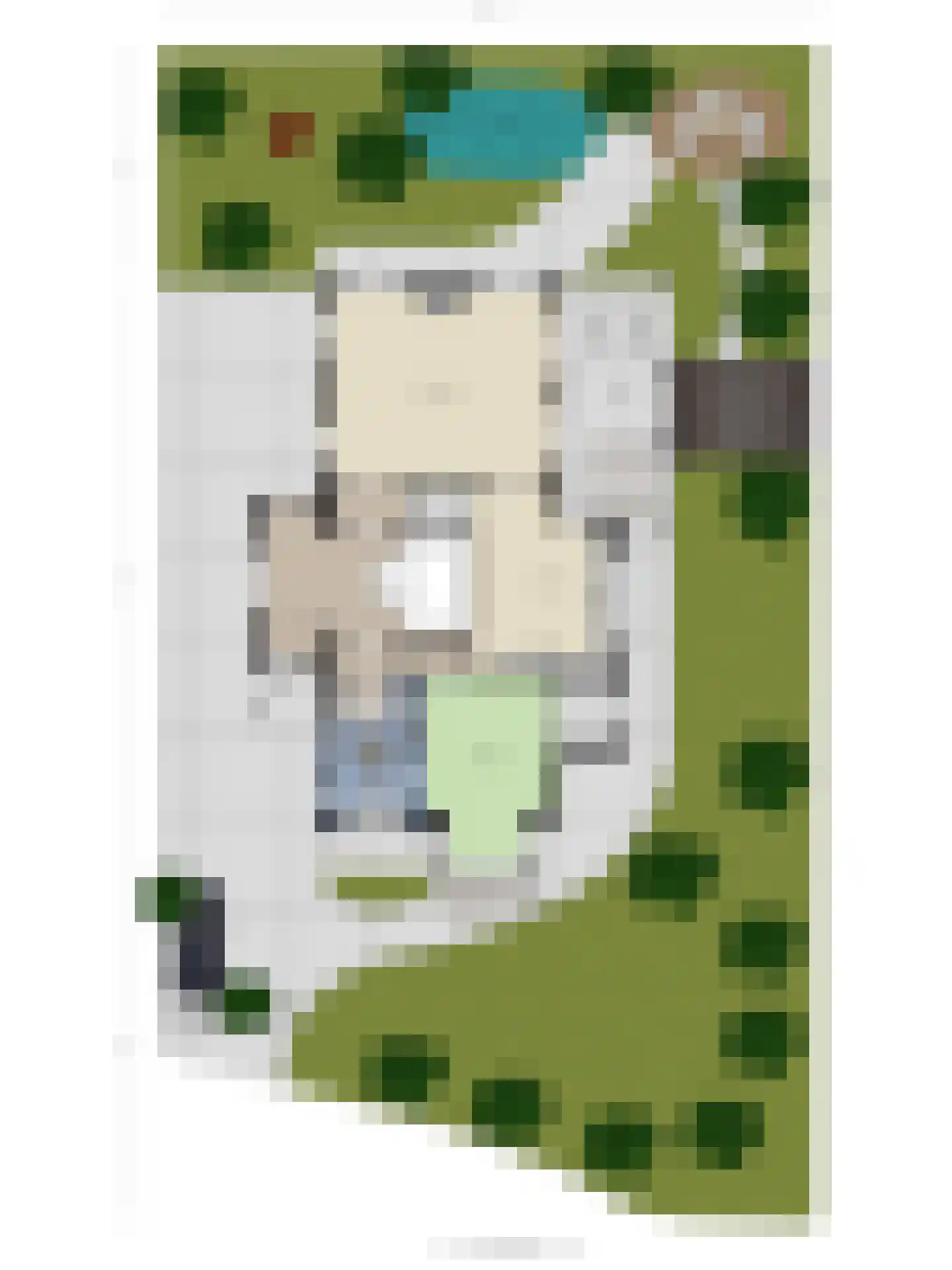 Anton Koolhaaspad 1 Voorschoten thumbnail 62