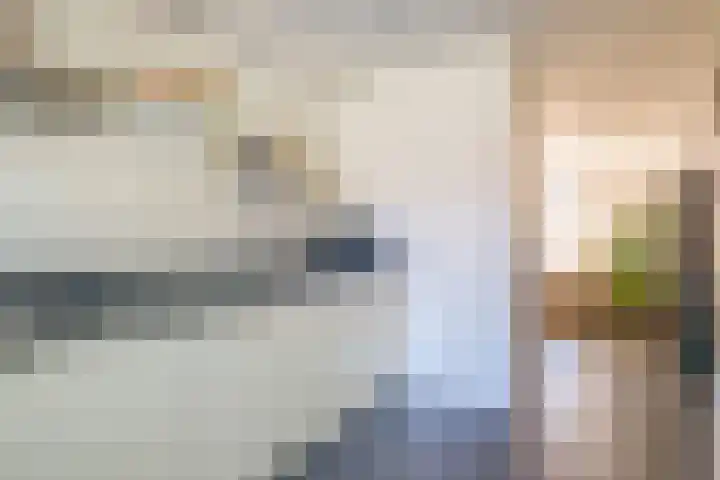 Anton Koolhaaspad 6 Arnhem thumbnail 10