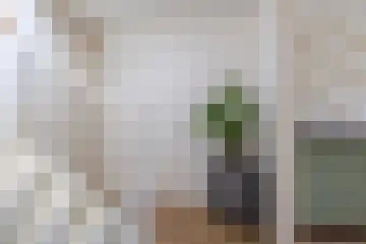 Anton Koolhaaspad 6 Arnhem thumbnail 18