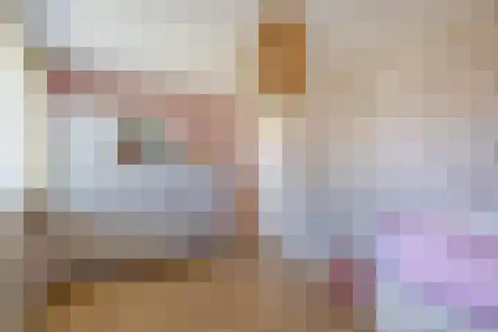 Anton Koolhaaspad 6 Arnhem thumbnail 26