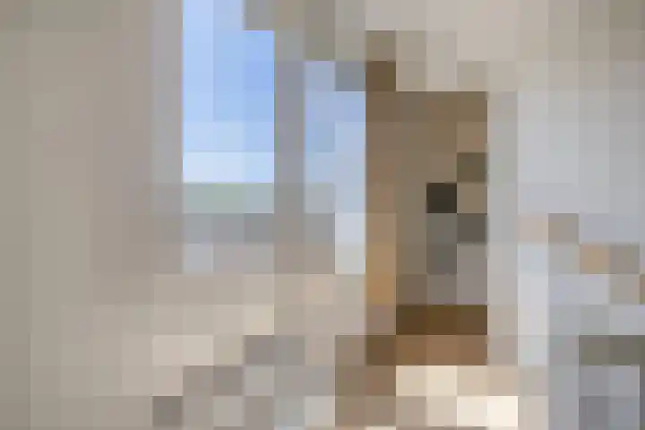 Anton Koolhaaspad 6 Arnhem thumbnail 32