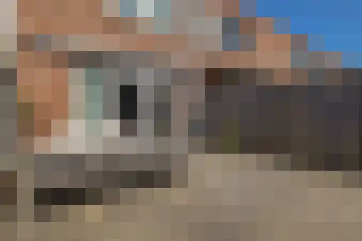 Anton Koolhaaspad 6 Arnhem thumbnail 37