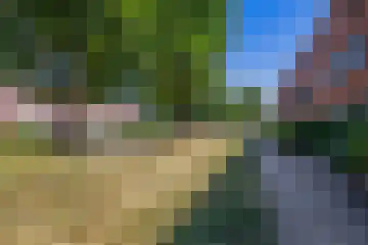 Anton Koolhaaspad 6 Arnhem thumbnail 42
