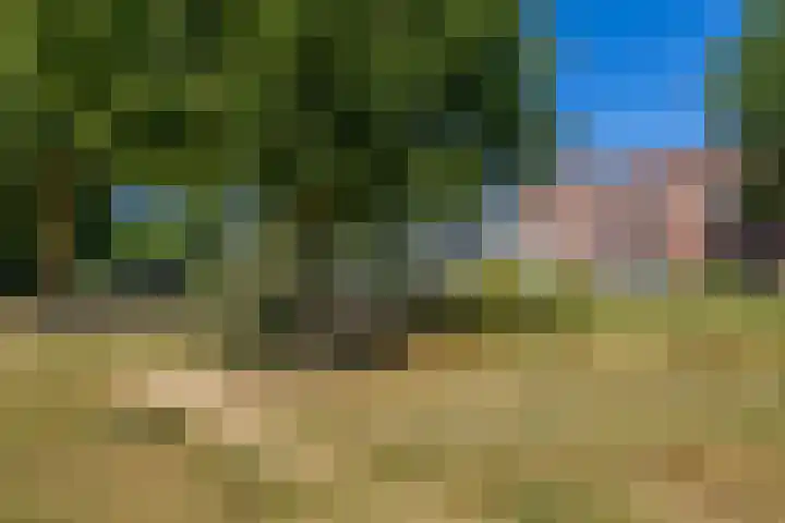 Anton Koolhaaspad 6 Arnhem thumbnail 43