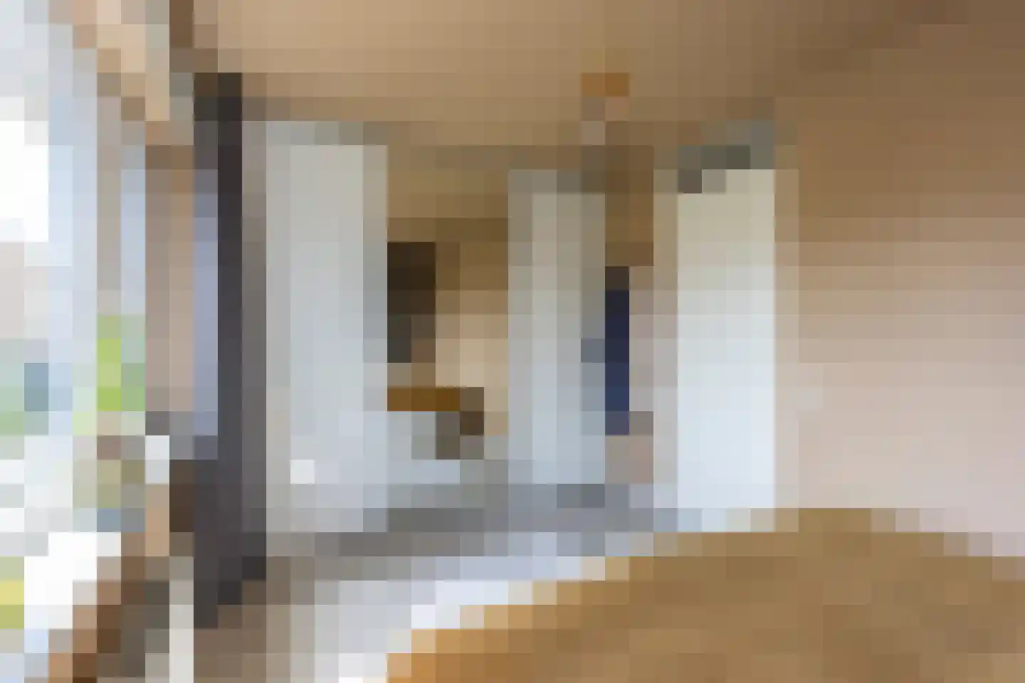 Anton Koolhaasstraat 25 Utrecht thumbnail 31