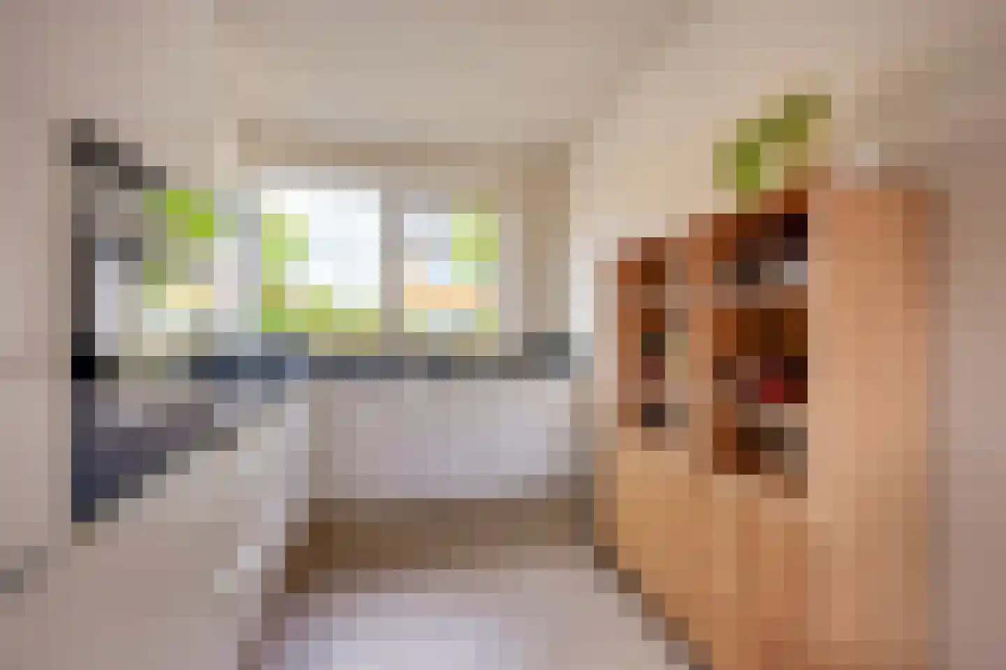 Anton Koolhaasstraat 25 Utrecht thumbnail 5